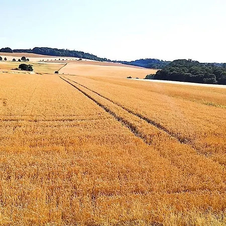 Mit Panoramablick In Sosberg-hunsrueck Nyaraló *