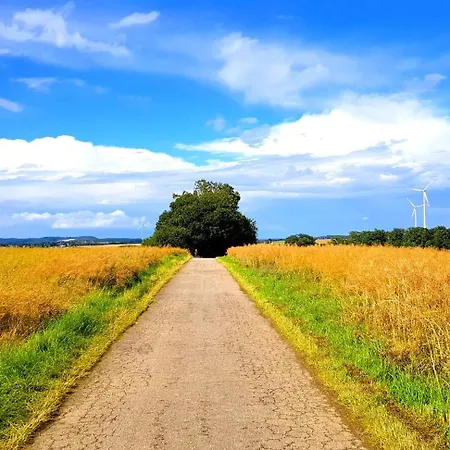 Mit Panoramablick In Sosberg-hunsrueck Sosberg